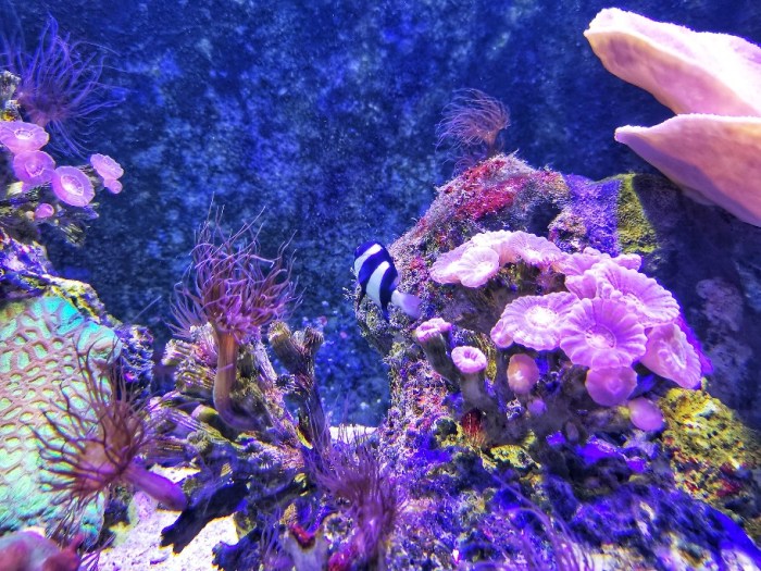 IMG_20200703_162010-01_copy_912x684