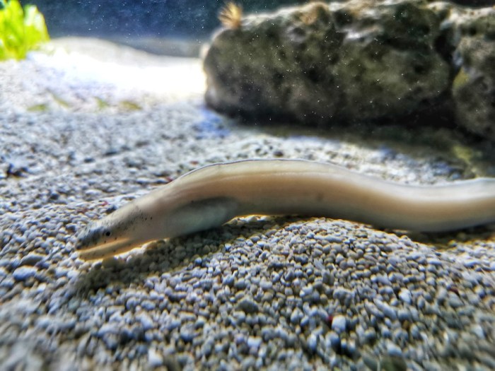 IMG_20200703_162158-01_copy_912x684