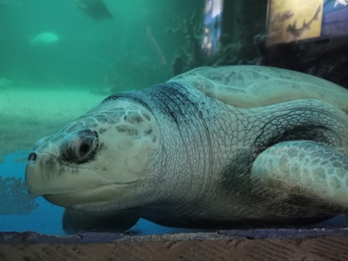 IMG_20200703_162832_copy_912x684