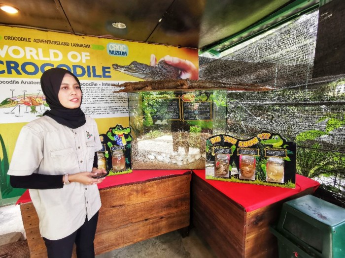 IMG_20200704_110627-01_copy_912x684