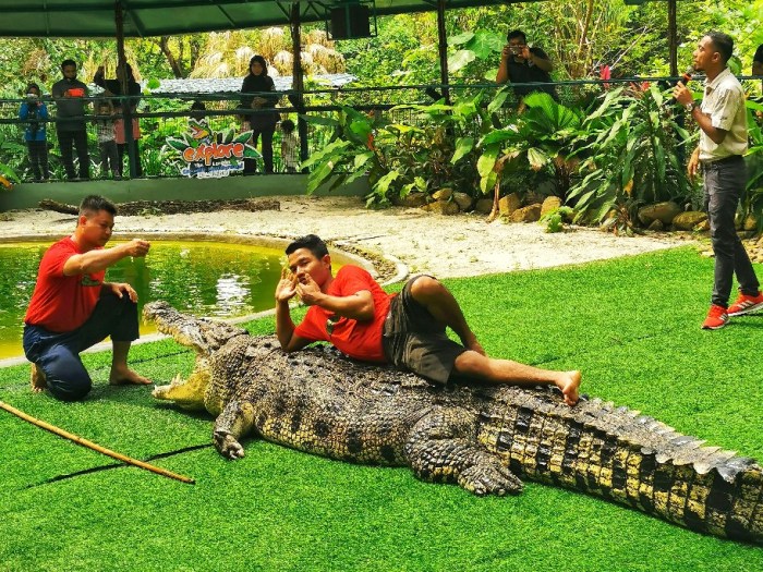 IMG_20200704_114149-02_copy_912x684