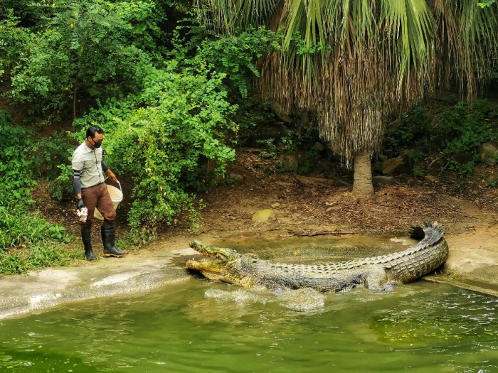 IMG_20200704_115635-01_copy_912x684