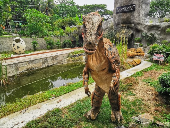 IMG_20200704_121008-01_copy_912x684