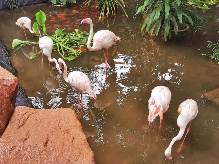 IMG_20200704_154300-01_copy_912x684