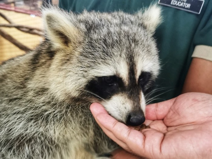 IMG_20200704_155110-01_copy_912x684