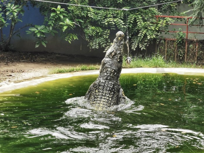 IMG_20200704_161325-01_copy_912x684