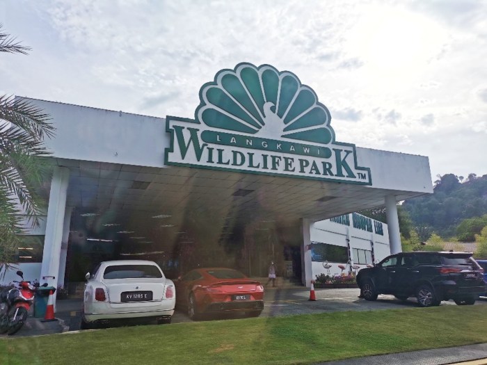 IMG_20200704_172033-01_copy_912x684