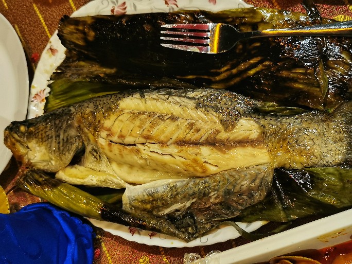 IMG_20200707_203239-01_copy_684x513