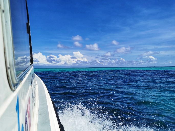 IMG_20200715_102418-01_copy_684x512