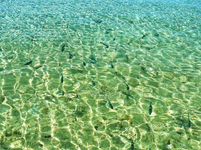 IMG_20200717_110652-01_copy_684x513