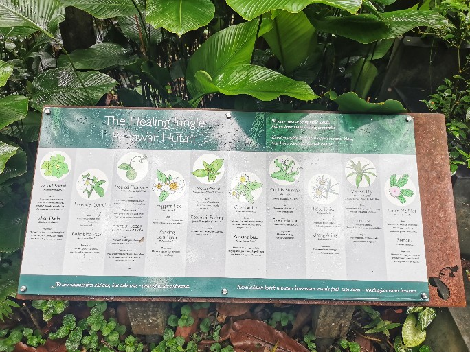 IMG_20200727_085422-01_copy_684x513