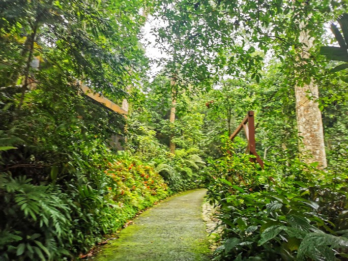 IMG_20200727_085434-01_copy_684x513