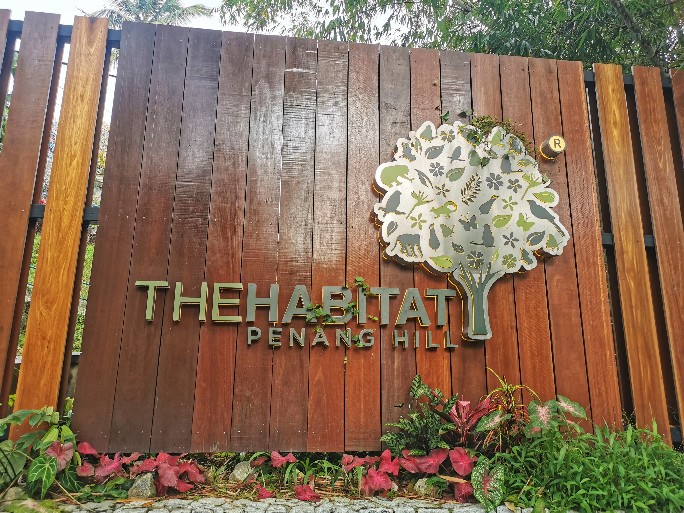 IMG_20200727_091348-01_copy_684x513