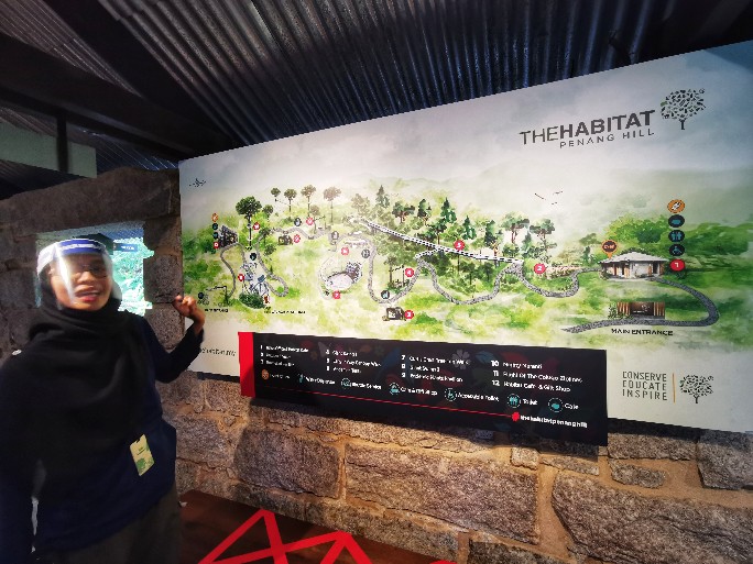 IMG_20200727_091704-01_copy_684x513