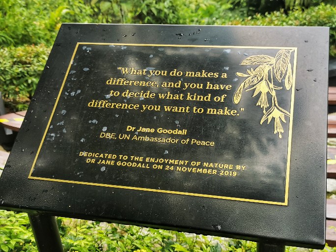 IMG_20200727_092310-01_copy_684x513