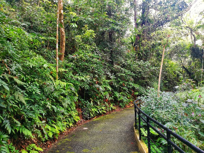 IMG_20200727_092652-01_copy_684x513