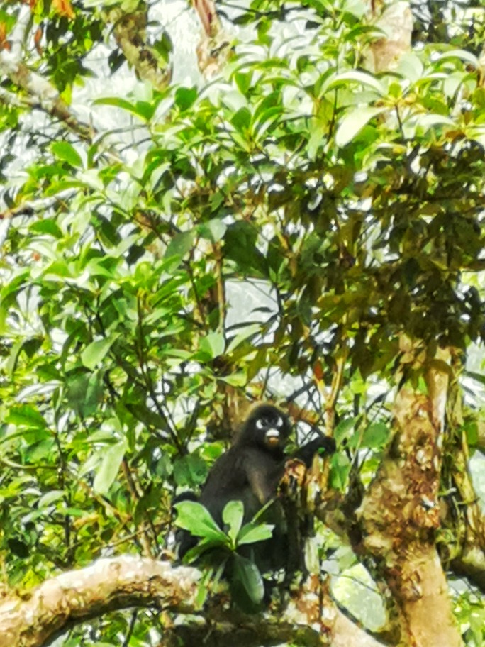 IMG_20200727_094325-01_copy_684x912