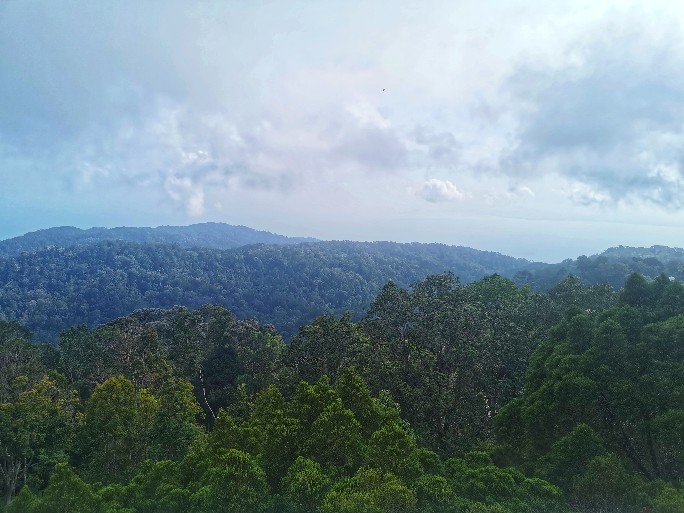 IMG_20200727_101330-01_copy_684x513