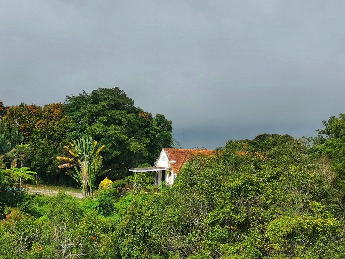 IMG_20200727_102234-01_copy_684x513