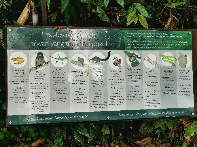 IMG_20200727_104229-01_copy_684x513