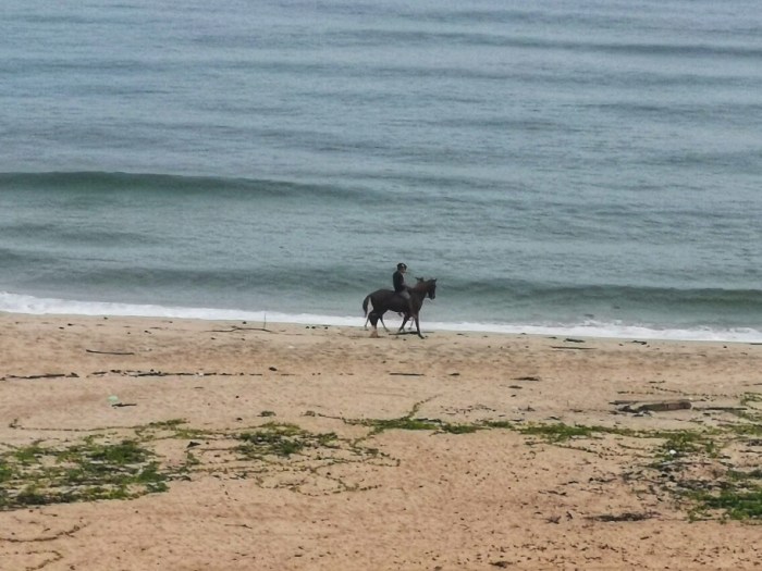 IMG_20200808_073611-01_copy_912x684